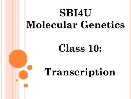 C ENTRAL D OGMA Fundamental principle of molecular genetics, which states that genetic information flows from DNA to RNA to proteins.