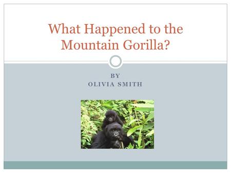 BY OLIVIA SMITH What Happened to the Mountain Gorilla?