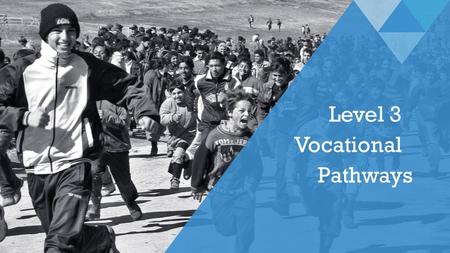 Level 3 Vocational Pathways. Vocational Pathways Curriculum design and review tool. Supports partnerships between secondary and tertiary education and.