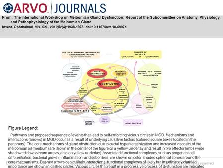 Date of download: 6/25/2016 The Association for Research in Vision and Ophthalmology Copyright © 2016. All rights reserved. From: The International Workshop.