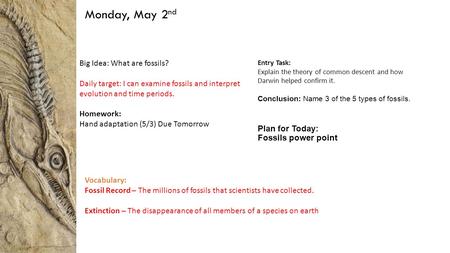 Monday, May 2 nd Big Idea: What are fossils? Daily target: I can examine fossils and interpret evolution and time periods. Homework: Hand adaptation (5/3)