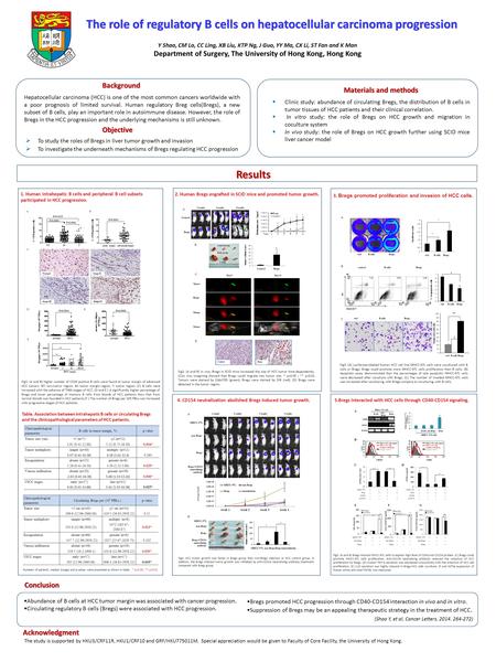 The role of regulatory B cells on hepatocellular carcinoma progression Conclusion Results Fig2. (A and B) In vivo, Bregs in SCID mice increased the size.