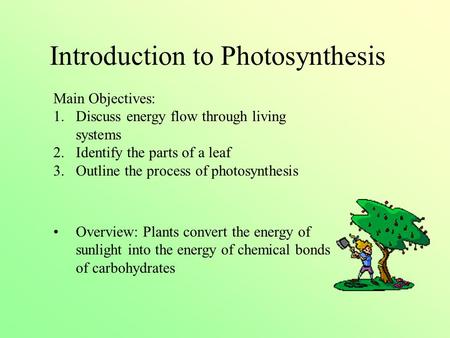 Introduction to Photosynthesis Main Objectives: 1.Discuss energy flow through living systems 2.Identify the parts of a leaf 3.Outline the process of photosynthesis.