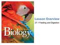 Lesson Overview Lesson Overview Feeding and Digestion Lesson Overview 27.1 Feeding and Digestion.