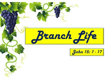 Branch Life John 15: 1 - 17. Presented by: Lost Sheep Ministries.