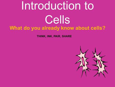 Introduction to Cells What do you already know about cells? THINK, INK, PAIR, SHARE.