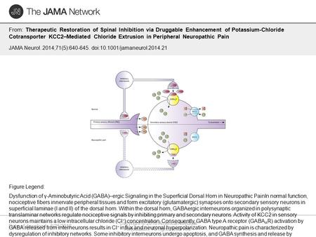 Date of download: 6/25/2016 Copyright © 2016 American Medical Association. All rights reserved. From: Therapeutic Restoration of Spinal Inhibition via.