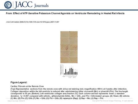 Date of download: 6/25/2016 Copyright © The American College of Cardiology. All rights reserved. From: Effect of ATP-Sensitive Potassium Channel Agonists.