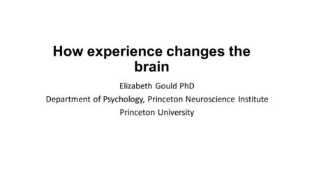 How experience changes the brain Elizabeth Gould PhD Department of Psychology, Princeton Neuroscience Institute Princeton University.