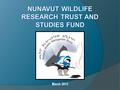 March 2013. Nunavut Wildlife Research Trust & Nunavut Wildlife Studies Fund  There are a number of documents that relate to the NWRT and NWSF:  1.)