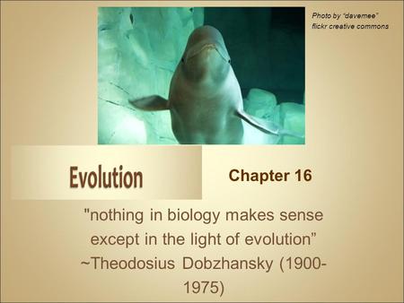 nothing in biology makes sense except in the light of evolution” ~Theodosius Dobzhansky (1900- 1975) Photo by “davemee” flickr creative commons Chapter.