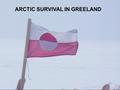 Flag flying on loop with sound ARCTIC SURVIVAL IN GREELAND.