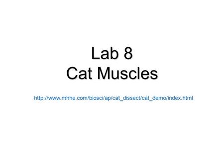 Lab 8 Cat Muscles http://www.mhhe.com/biosci/ap/cat_dissect/cat_demo/index.html.