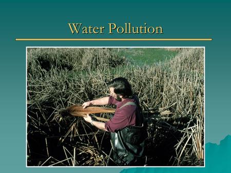 Water Pollution. Overview o Types of Water Pollution Sewage Sewage Disease-causing agents Disease-causing agents Sediment pollution Sediment pollution.