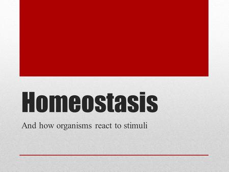 Homeostasis And how organisms react to stimuli. In your ISN, write these terms – fill in as we go Homeostasis StimulusResponseFight or Flight (Definitions)