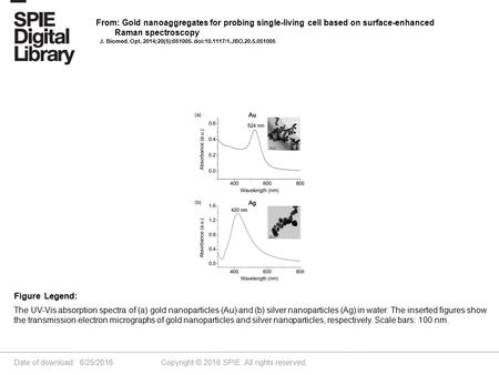 Date of download: 6/25/2016 Copyright © 2016 SPIE. All rights reserved. The UV-Vis absorption spectra of (a) gold nanoparticles (Au) and (b) silver nanoparticles.