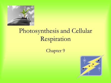 Photosynthesis and Cellular Respiration Chapter 9.