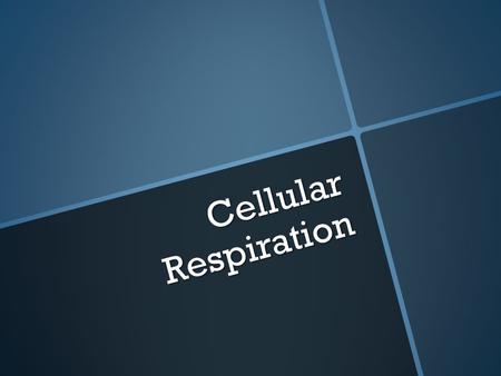 Cellular Respiration. What does respiration mean to you?