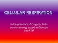 In the presence of Oxygen, Cells convert energy stored in Glucose into ATP 1.