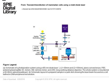 Date of download: 6/26/2016 Copyright © 2016 SPIE. All rights reserved. (a) Schematic of a photoporation system using a 405-nm diode laser: L (L1=50mm.