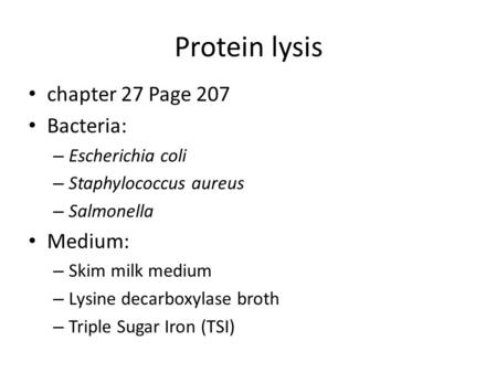 Protein lysis chapter 27 Page 207 Bacteria: Medium: Escherichia coli