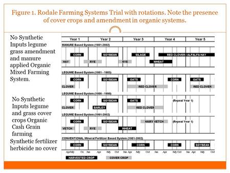 Figure 1. Rodale Farming Systems Trial with rotations. Note the presence of cover crops and amendment in organic systems. Synthetic fertilizer herbicide.