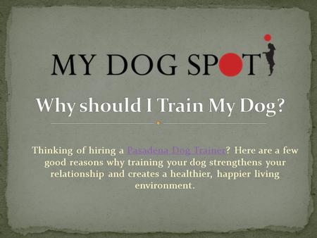 Thinking of hiring a Pasadena Dog Trainer? Here are a few good reasons why training your dog strengthens your relationship and creates a healthier, happier.