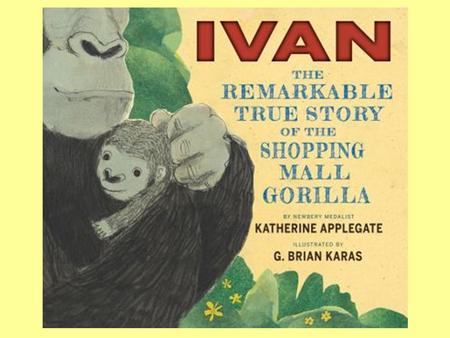 Ivan was born in Africa. Locate the Democratic Republic of the Congo. When he was captured he was flown to Tacoma, Washington. Using a United States map,