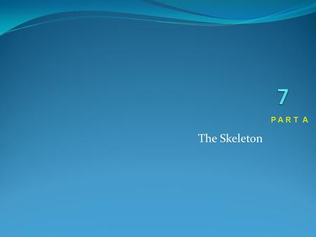 The Skeleton P A R T A. The Axial Skeleton Eighty bones segregated into three regions Skull Vertebral column Bony thorax.