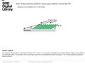 Date of download: 6/26/2016 Copyright © 2016 SPIE. All rights reserved. Schematic of the growth of a columnar thin film (CTF), which is an assembly of.