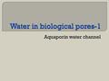 Water in biological pores-1