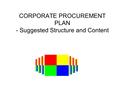 CORPORATE PROCUREMENT PLAN - Suggested Structure and Content.