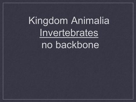 Kingdom Animalia Invertebrates no backbone. What is an Animal? Heterotrophic Eukaryotic Multicellular No Cell walls Most move-mobile Most do sexual reproduction.