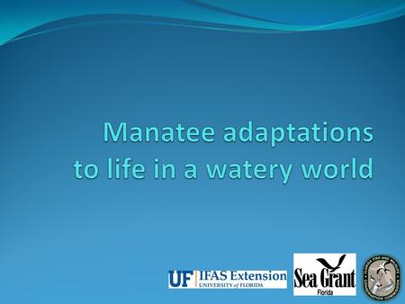 What is adaptation? Lesson 3: Manatee Adaptations.