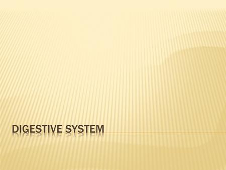 Your digestive system is uniquely designed to turn the food you eat into energy your body needs to survive. Here's how it works. Mouth The mouth is the.