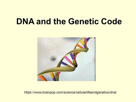 DNA and the Genetic Code https://www.brainpop.com/science/cellularlifeandgenetics/dna/