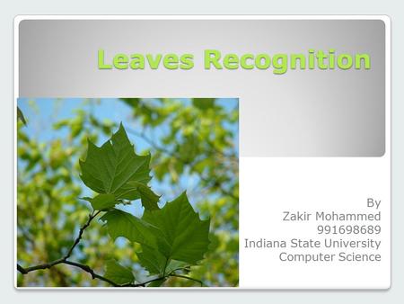 Leaves Recognition By Zakir Mohammed 991698689 Indiana State University Computer Science.