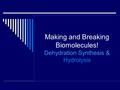 Making and Breaking Biomolecules! Dehydration Synthesis & Hydrolysis.