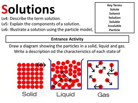 Solutions Lv4: Describe the term solution.