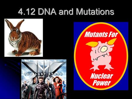 4.12 DNA and Mutations. Quick DNA Review Base pairing Base pairing.