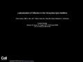 Lateralization of Olfaction in the Honeybee Apis mellifera Pinar Letzkus, Willi A. Ribi, Jeff T. Wood, Hong Zhu, Shao-Wu Zhang, Mandyam V. Srinivasan Current.