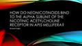 HOW DO NEONICOTINOIDS BIND TO THE ALPHA SUBUNIT OF THE NICOTINIC ACETYLCHOLINE RECEPTOR IN APIS MELLIFERA? Robert Kalish.