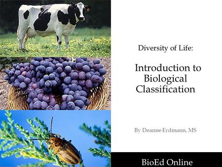 BioEd Online Diversity of Life: Introduction to Biological Classification By Deanne Erdmann, MS BioEd Online.