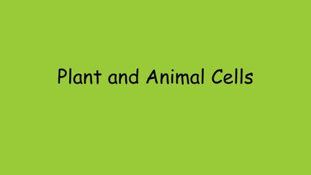 Plant and Animal Cells.