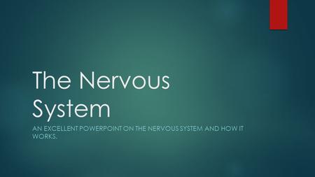 The Nervous System AN EXCELLENT POWERPOINT ON THE NERVOUS SYSTEM AND HOW IT WORKS.