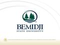 A member of the Minnesota State Colleges and Universities system, Bemidji State University is an affirmative action, equal opportunity employer and educator.