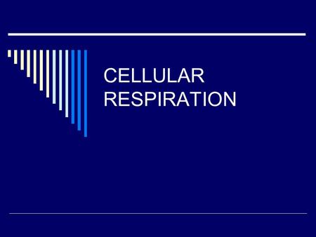 CELLULAR RESPIRATION. WHAT IS IT?  Process by which all living cells break down energy rich molecules (e.g. glucose) to release energy in a useable form.