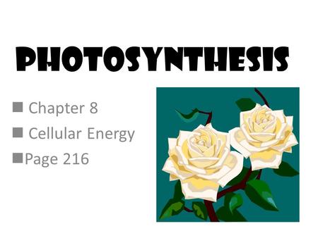 Photosynthesis Chapter 8 Cellular Energy Page 216.