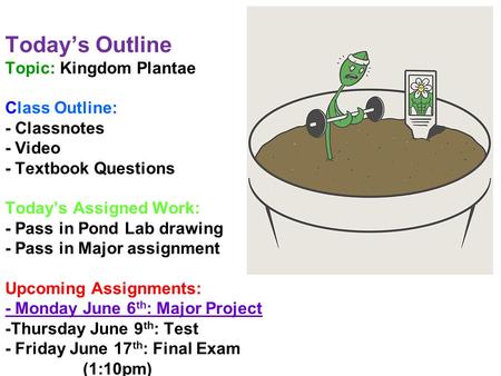 Today’s Outline Topic: Kingdom Plantae Class Outline: - Classnotes - Video - Textbook Questions Today’s Assigned Work: - Pass in Pond Lab drawing - Pass.