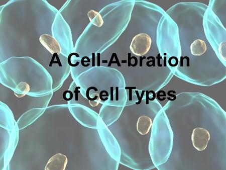 A Cell-A-bration of Cell Types. Which component of the cell theory is represented by the following diagram 1.All living things are made of cells 2.Cells.